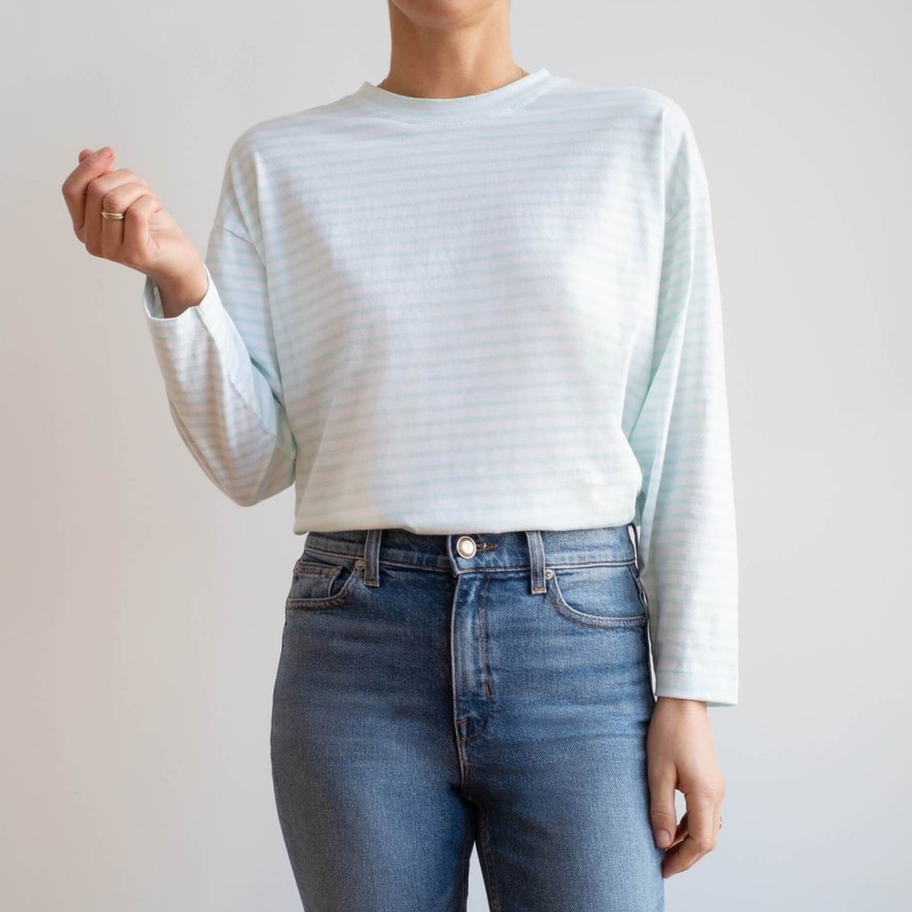 AYR The French Fry in Water Ice